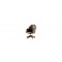 Executive Swivel Chair - Click to Zoom