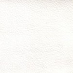 Old Vintage Aniline - Winter White  (Shelly)