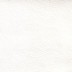 Old Vintage Aniline - Winter White (Shelly)