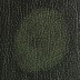 Antique Leather - Green (Rub-Off)