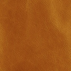 Dune Sand (Dune Leather)