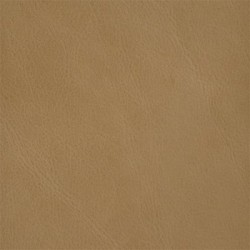 Old English Parchment (Old English Leather)