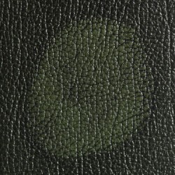 Antique Green (Antique Leather)