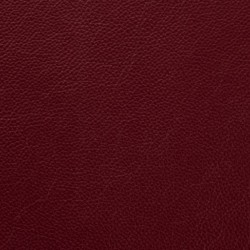 Shelly Dark Grape