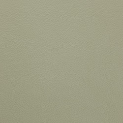 Shelly Thyme Green