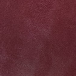 Next Ruby ()