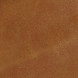 Next Saddle ()