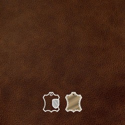 Mistral Earth ()