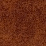 Cognac (Selvaggio)