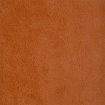  Old English Bruciato (Old English)