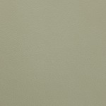  Shelly Thyme Green (Shelly Leather)